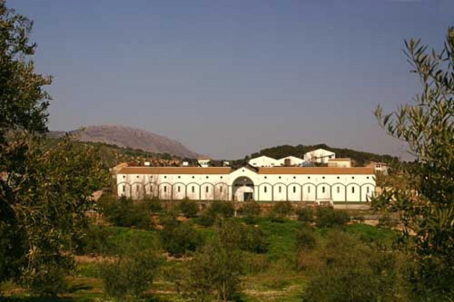 Doppriegocordoba 3175