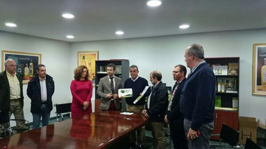 Olivar de segura 3125