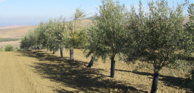 Gea 3118