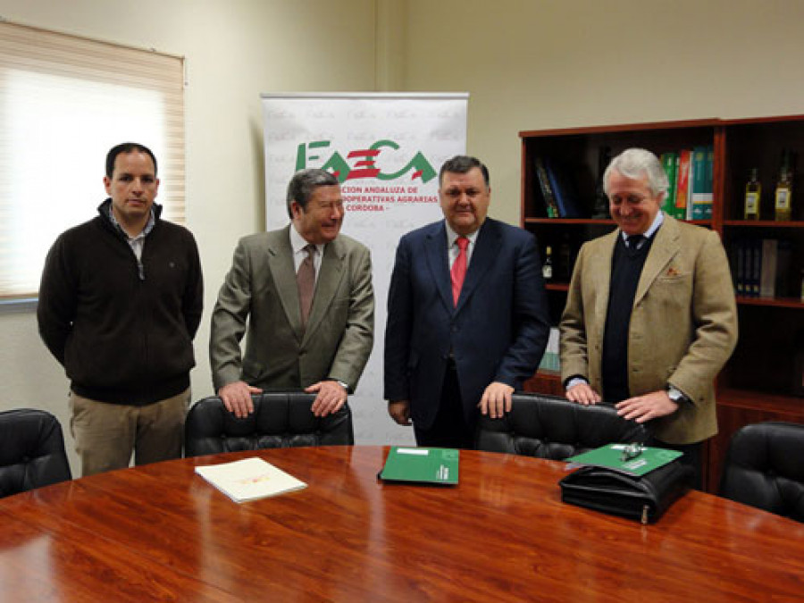 Faeca granada 3100