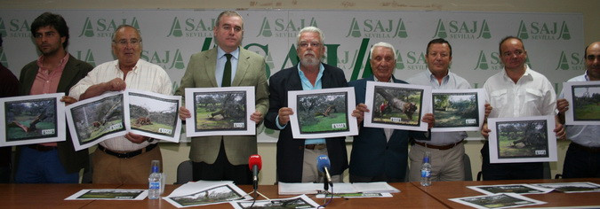 Asaja sevilla 3093
