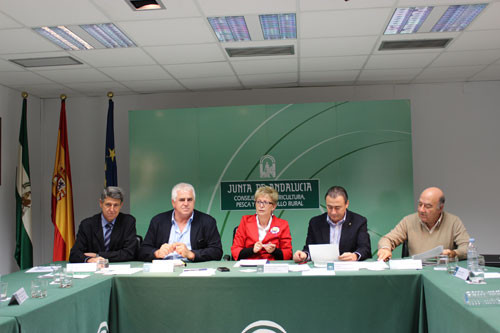 Juntaandalucia 3071