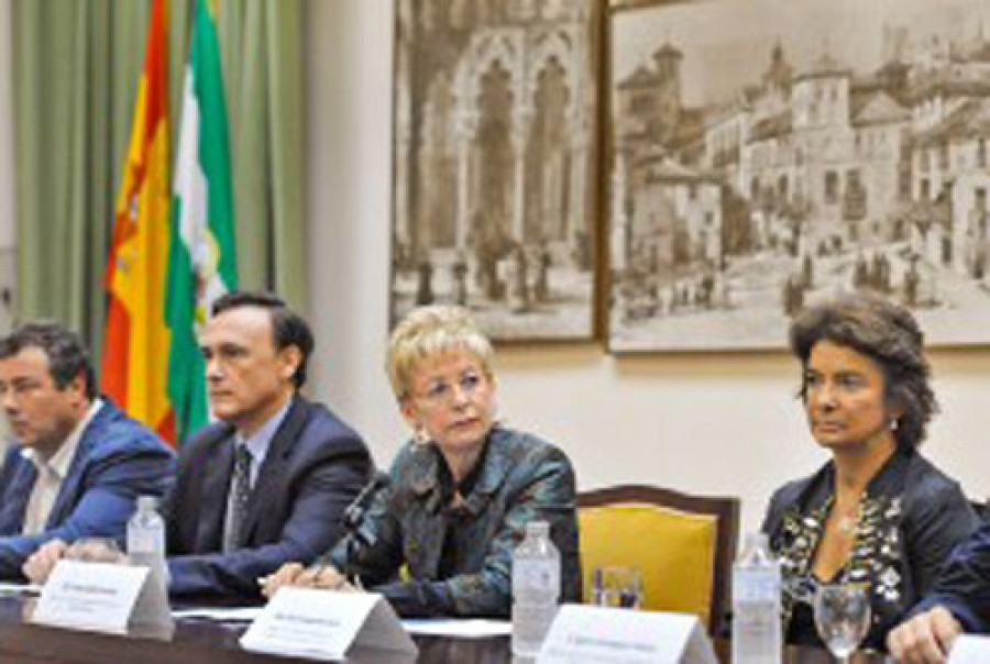 Junta andalucia 3005