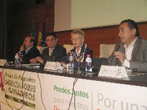 Junta olivar 2997