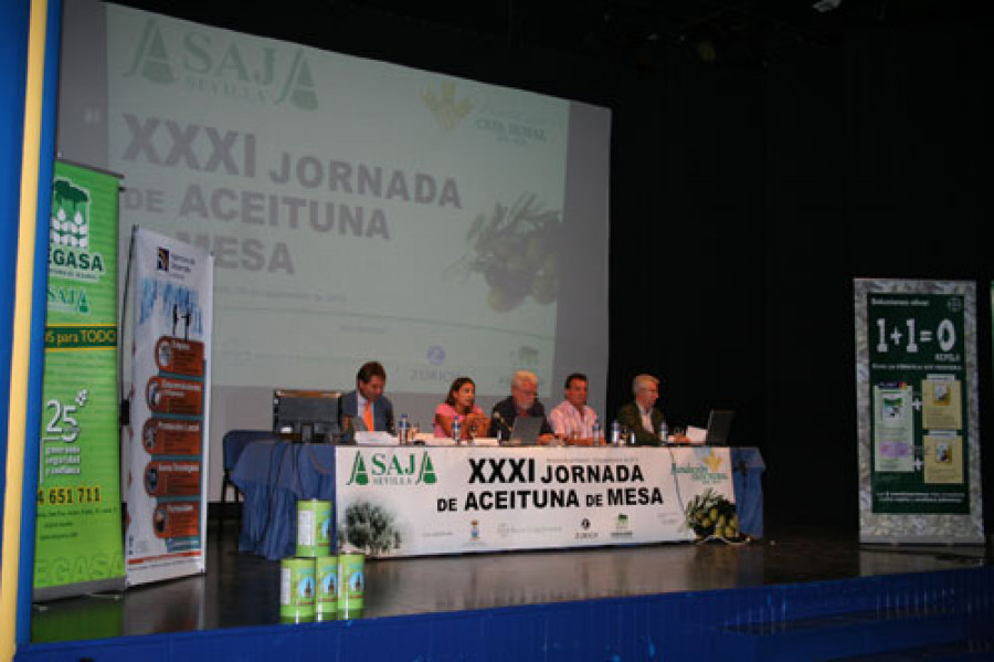 Asaja sevilla 2996