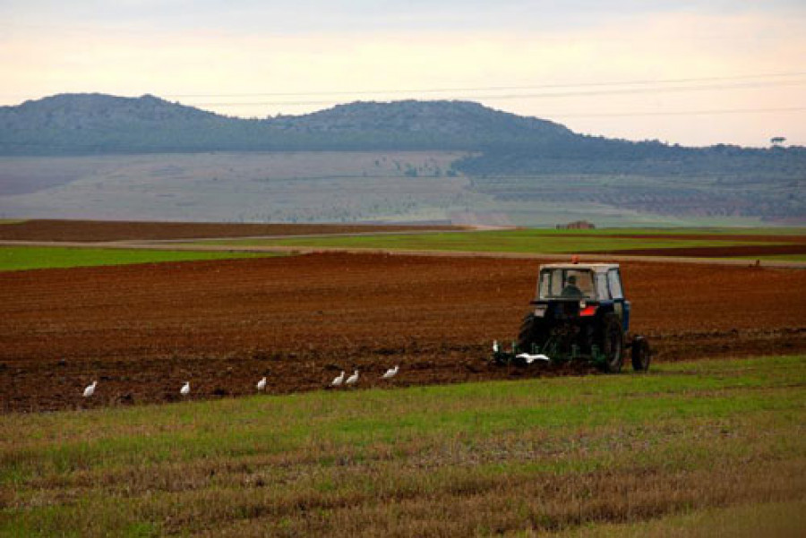 Campo 2983