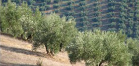 Produccion agraria 2958