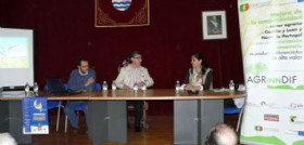 Zamora 2946