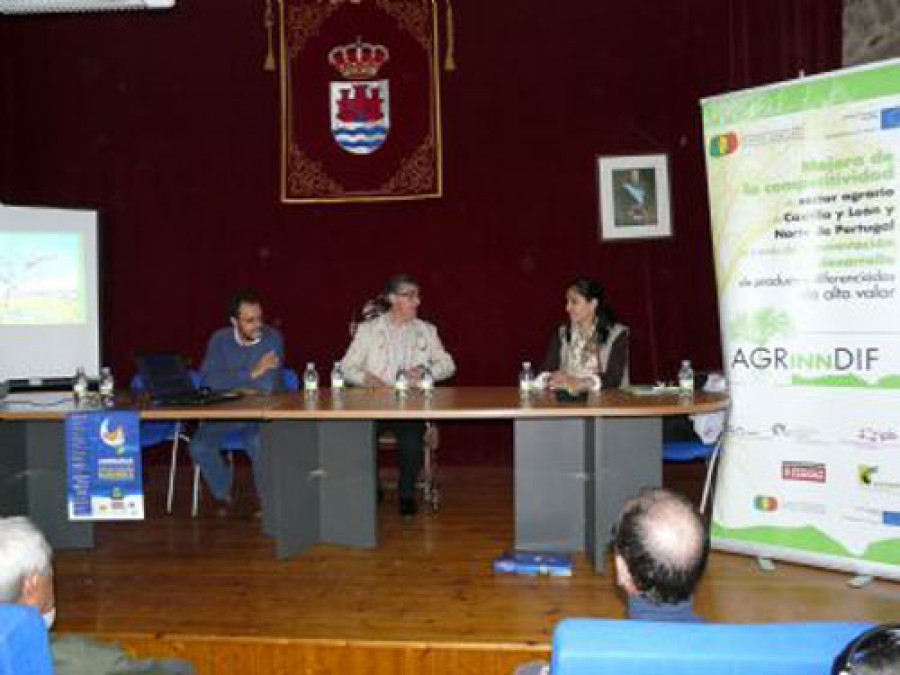 Zamora 2946