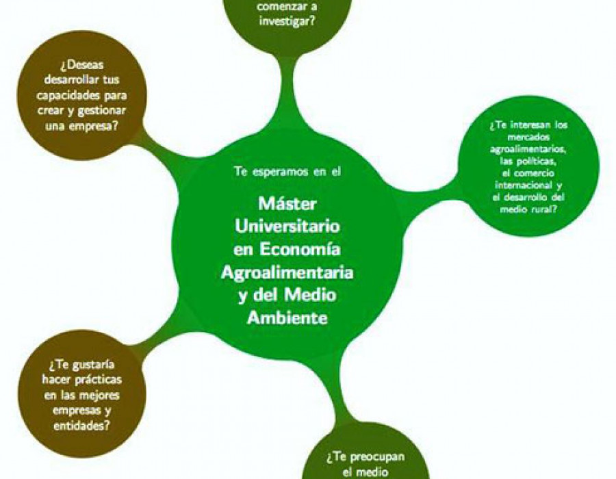 Master UPV