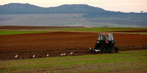 Tractor en el campo n