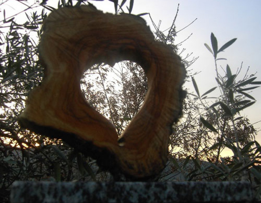Premio Corazon Olivo