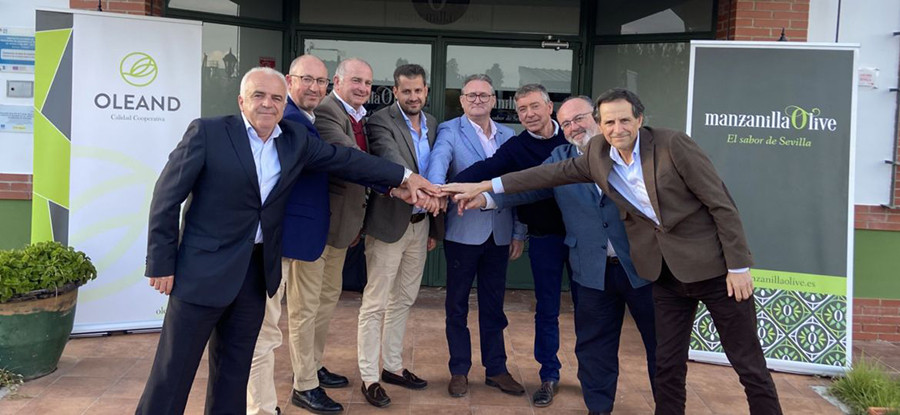 Presidentes cooperativas oleand manzanilla oleo 5355