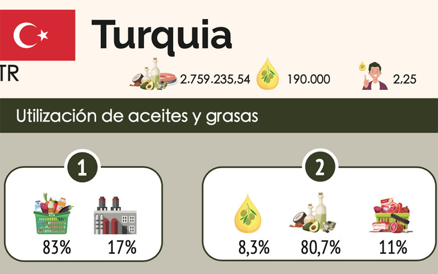 Turquia juan vilar oleo 5355