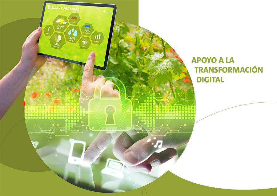 Informeapoyosectoralimentario une oleo 5338