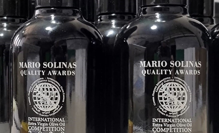 Premio mario solinas coi22 oleo 5350 2