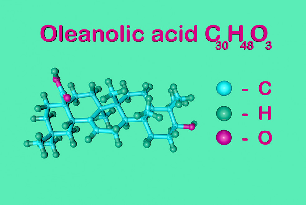 Estudio moleculas bioactivas aceite oleo 110522