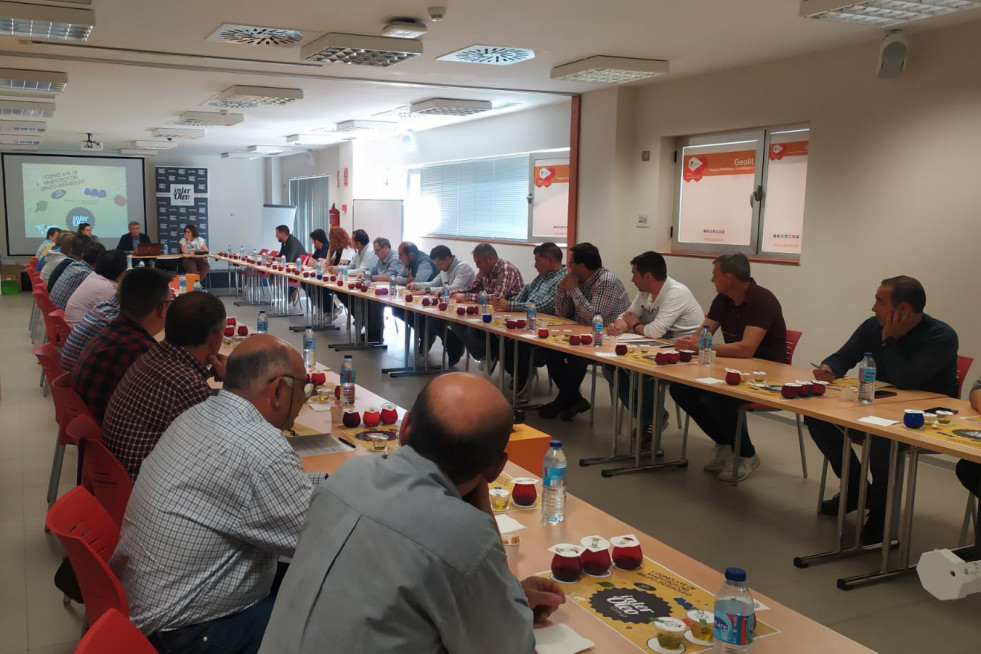 Conclave maestros Interoleo oleo 120522