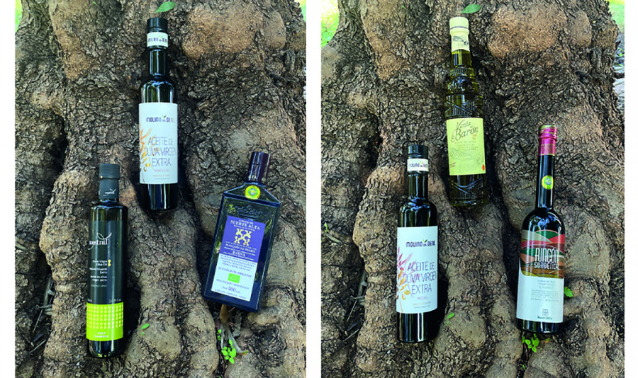 Premios aove feria montoro22 oleo 100522