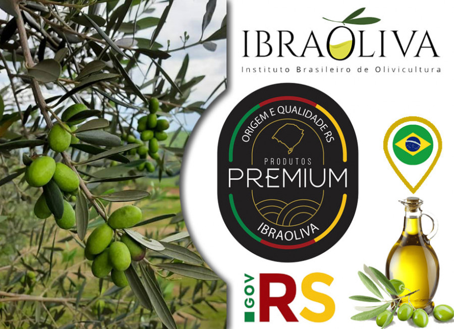 Ibraoliva sello calidad aove brasil oleo 130522