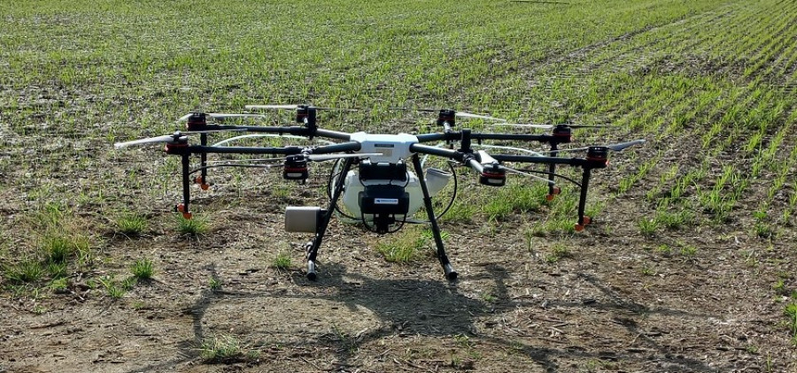 Drones olivo lombardia oleo 230622