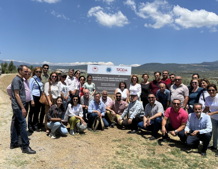 Taller izmir coi 150722
