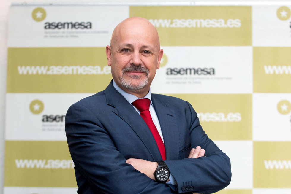 Jose Ignacio Montañon Asemesa 189 oleo 150722