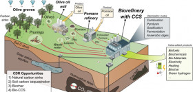 Olivar estudio co2 uja oleo 290722