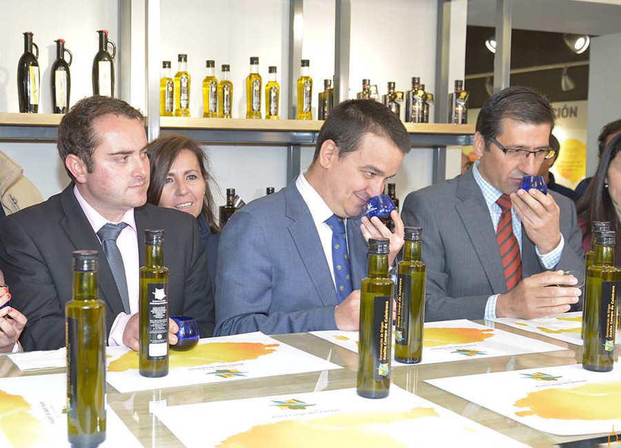Dipu cr aove ayuda oleo 050922