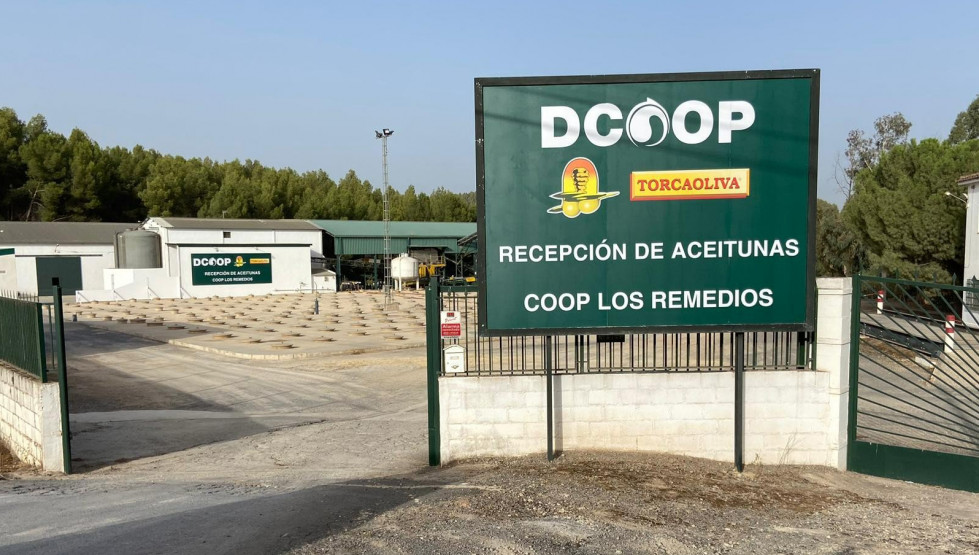 Dcoop torcaoliva nuestrasra rosario oleo 101022