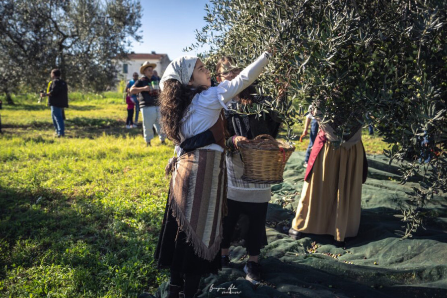 Oleoturismo italia campaña2022 oleo 101122
