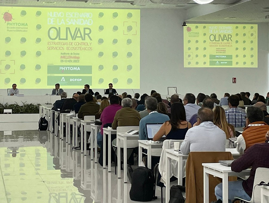 Fitosanitarios olivar oleo 231122