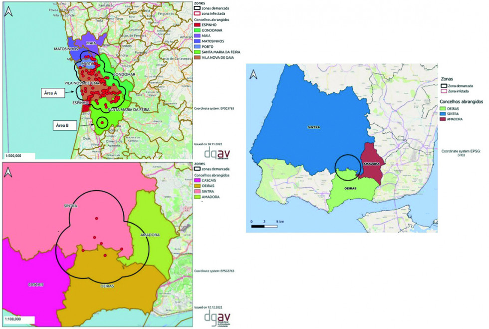 Xylella portugal informe dgv oleo 250123