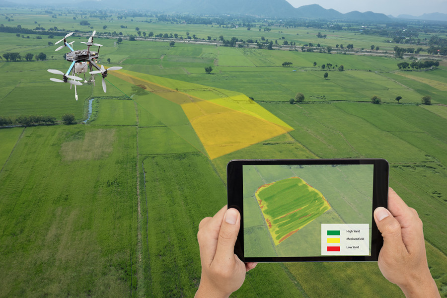 Agricultura precision drone UIA oleo 260123