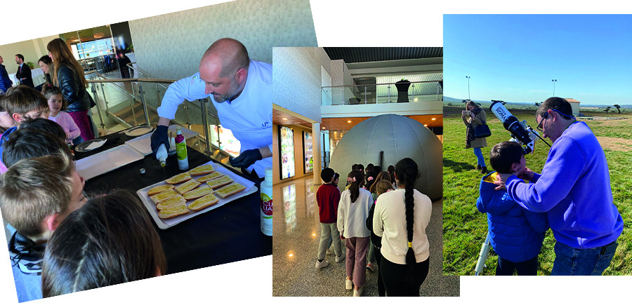 Picualia actividades educativas oleo 150223