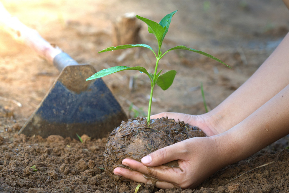 Ce expertos 23 fertilizants oleo 220323