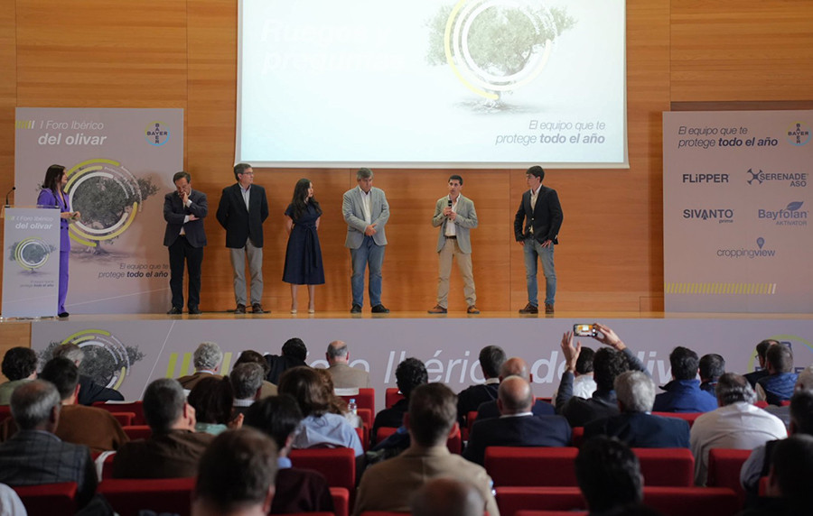 Foro olivar oleo 240323