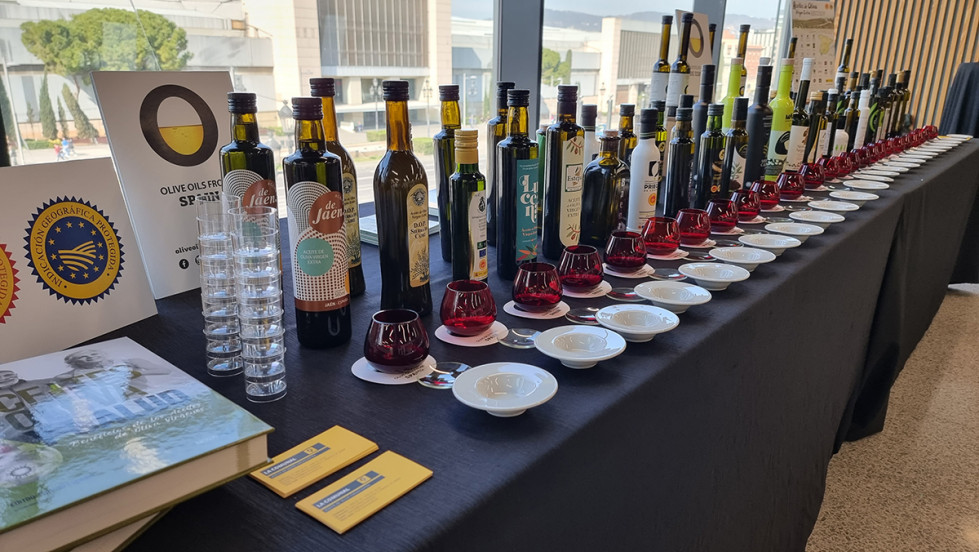 Cumbre alimentaria dop igp intrepfo aceite oleo 240323