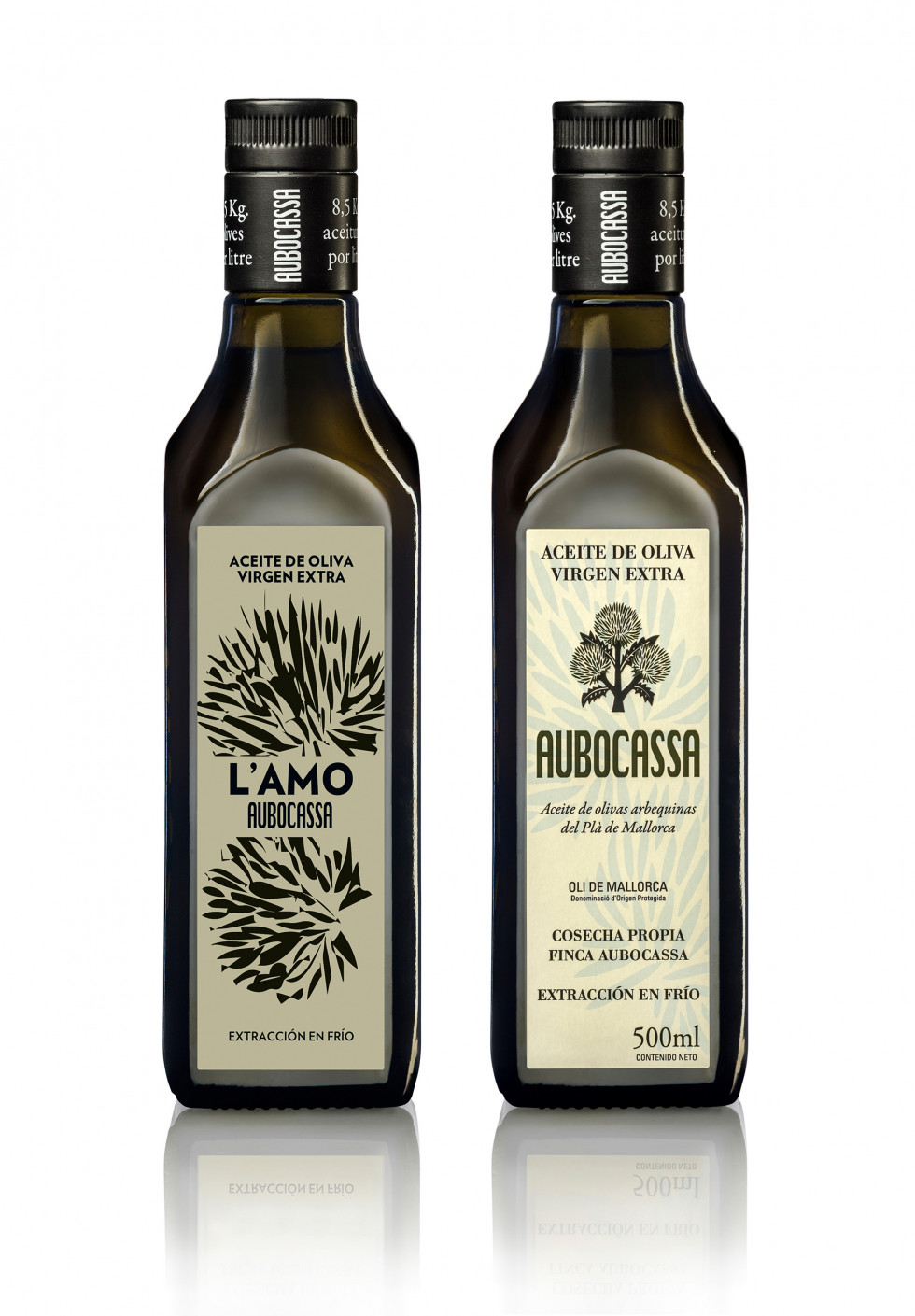 AOVE Lamo  AUBOCASSA oleo 030423