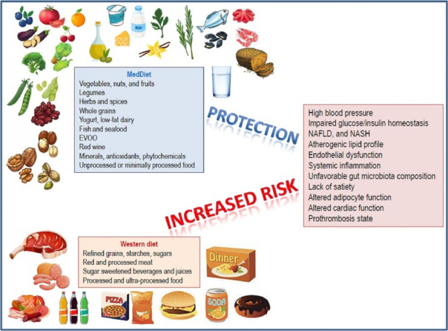 Diferentes componentes dieta med oleo 120423