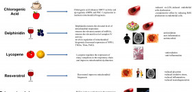 Dietamed mitocondiras oleo 250423