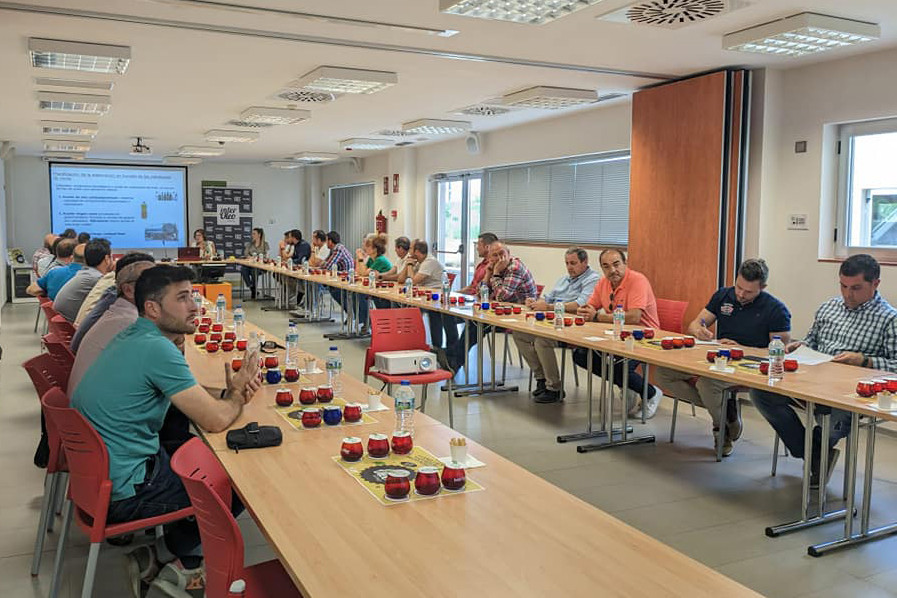 Conclave maestros GI OLEO 040523