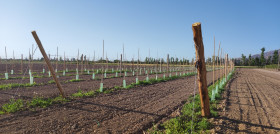 Inta argentina cambio climatico estudio1 oleo020623