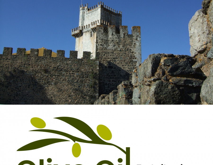 Oowc portugal castillo beja oleo160623