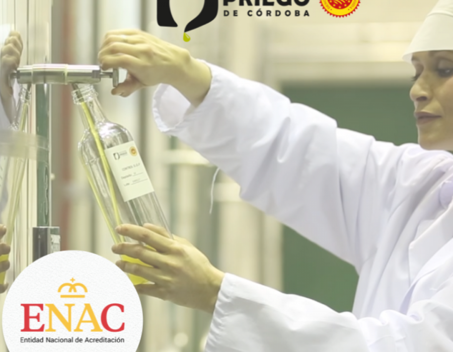 Dop priego cordoba enac oleo190623