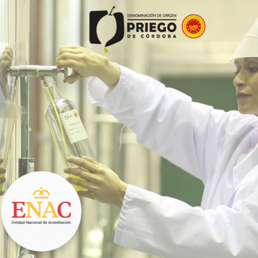 Dop priego cordoba enac oleo190623