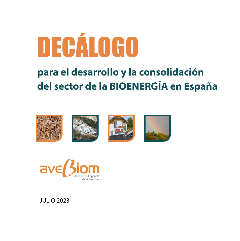AVEBIOM  decalogo  bioenergia elecciones23 oleo110723