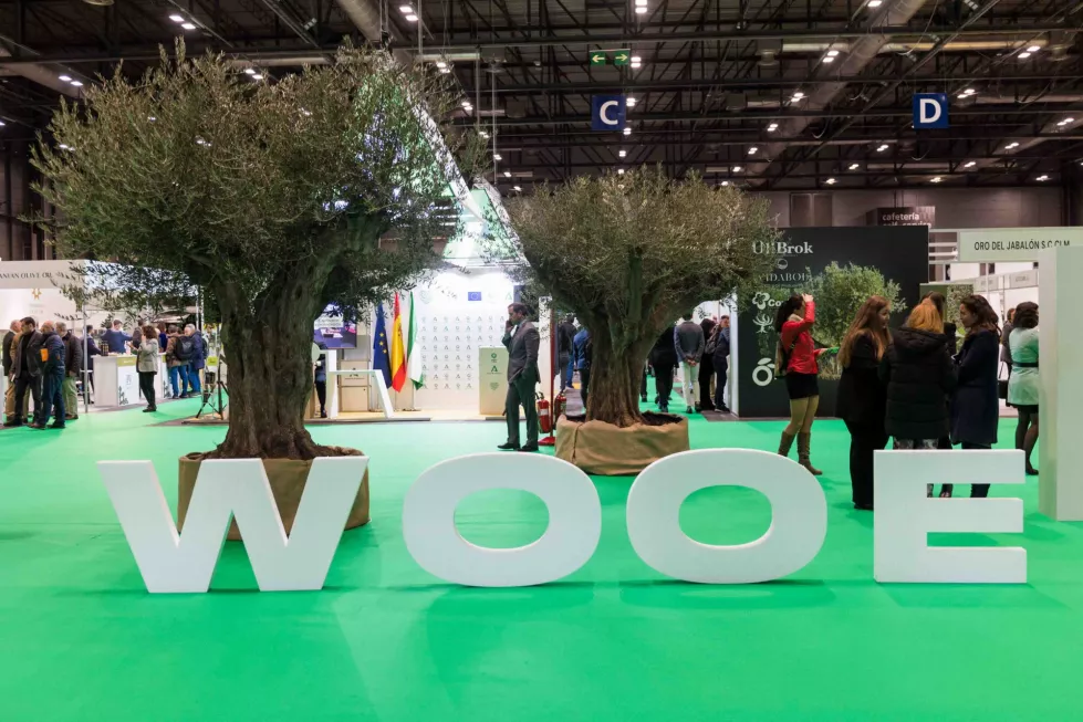 WOOE edición 2022 oleo140723