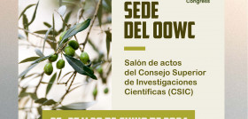 Sede fechaOOWC oleo210723