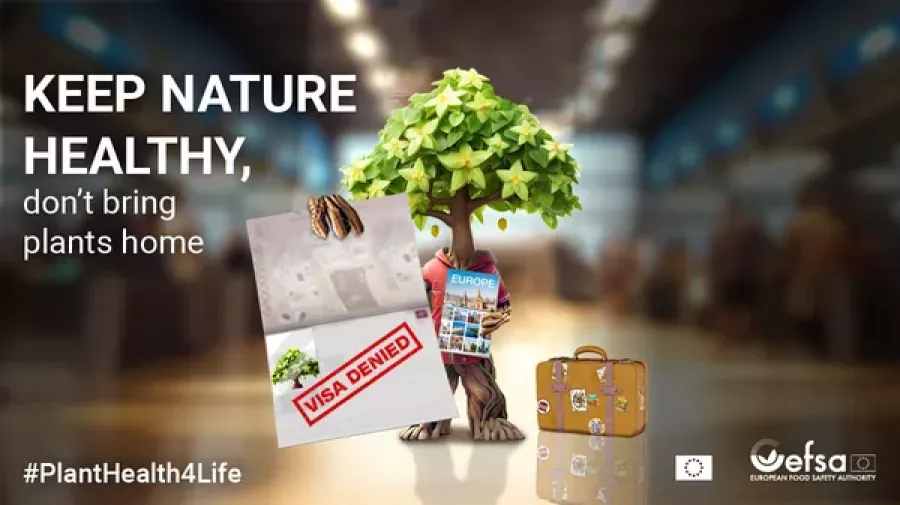 Plant health campaign efsa EU oleo270723